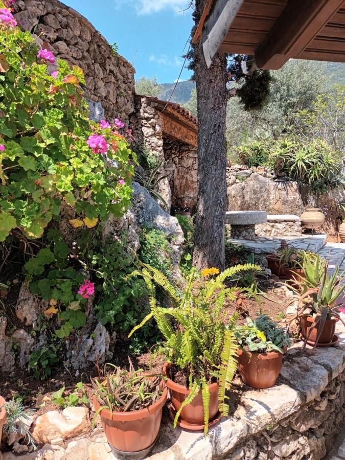 Aphrodite'S Maisonette On Corfu Island Barbati Buitenkant foto